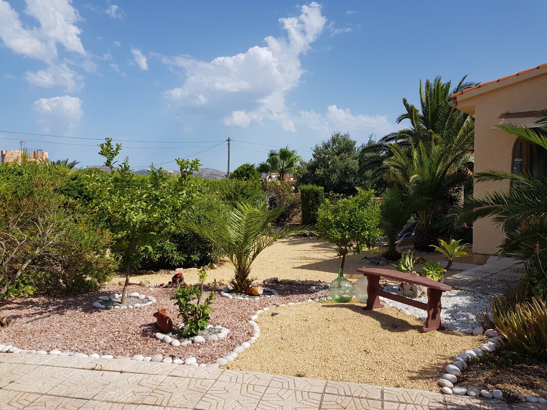 Mediterranean garden view